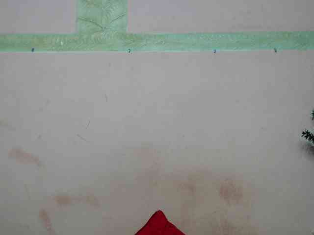 StivanahScot StivanahScot