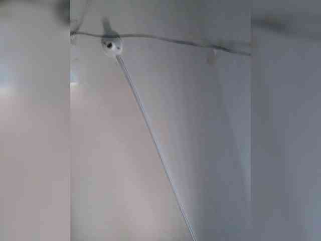 ShutangEnamerzx ShutangEnamerzx