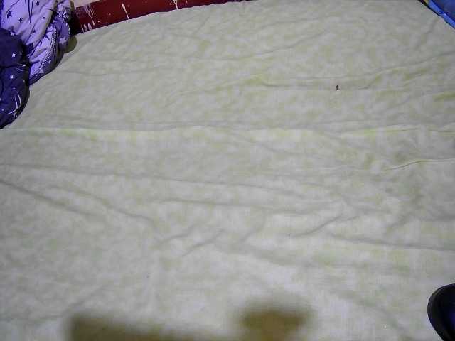 Preview of tiffany-coco