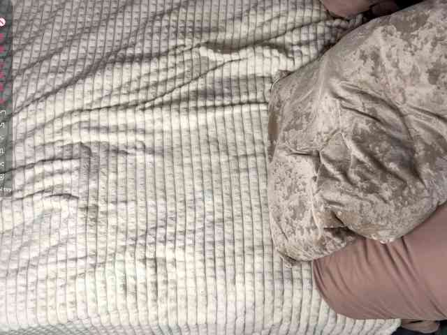 ElisabethReichling webcam