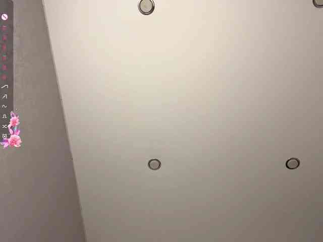 ElisabethReichling webcam