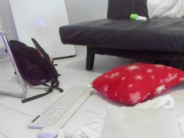 coquettepetite's BongaCams show and profile