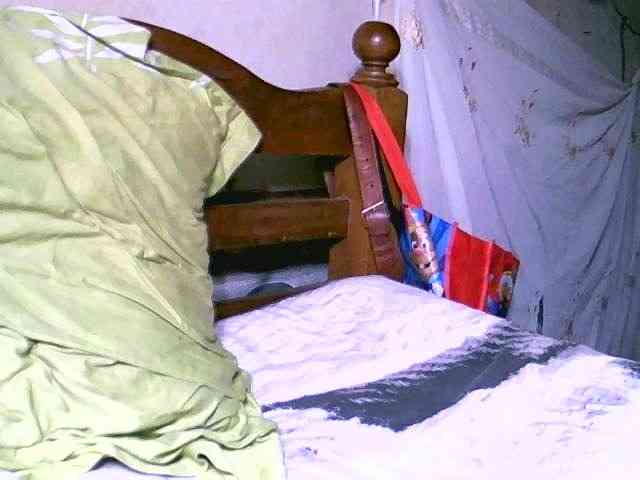 Royal-diva Royal-diva