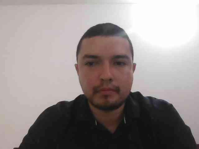 Pollays