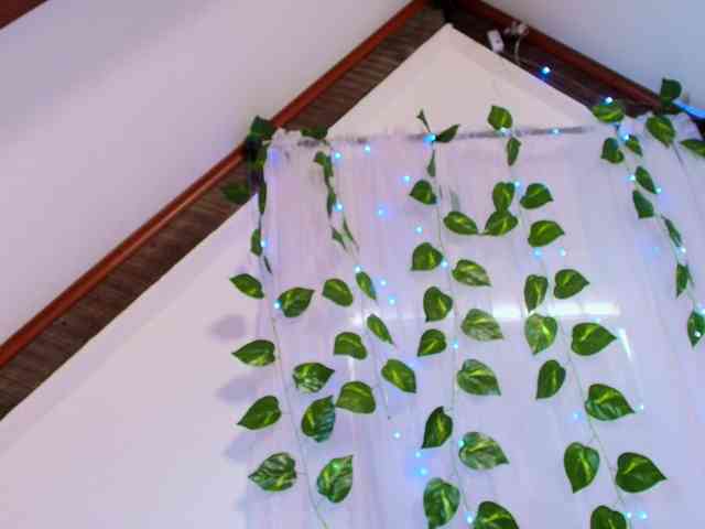 lucia-sweeet lucia-sweeet