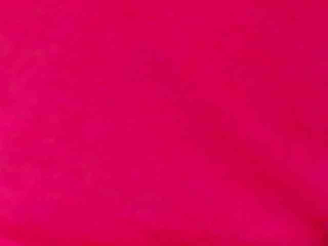 sexycum-dumpster webcam