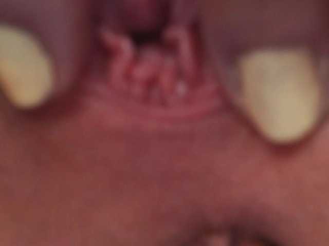 KylieBloom's BongaCams show and profile