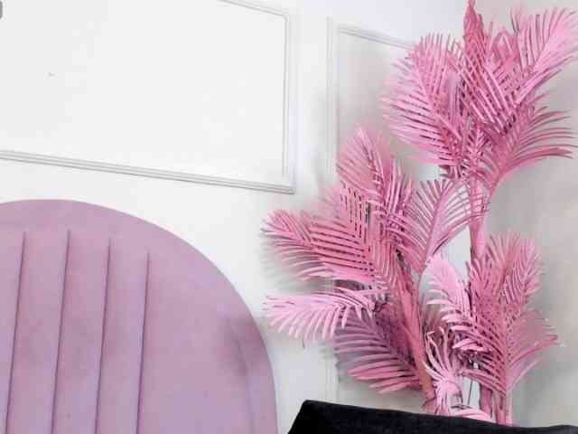 Hanaahquinn Hanaahquinn