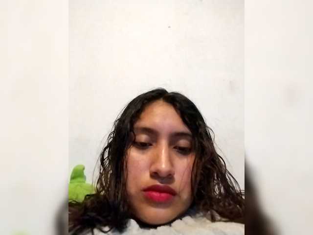 Andreitarica preview