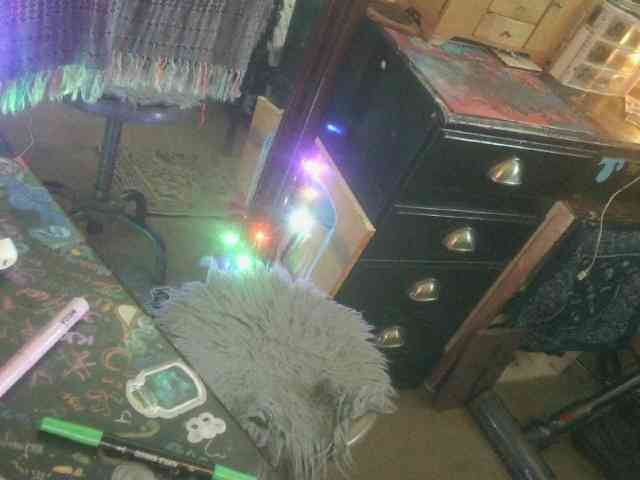 dankskank3 Live Webcam on BongaCams