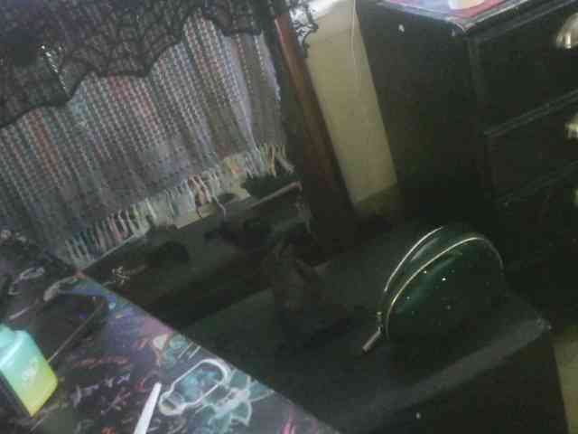 dankskank3 Live Webcam on BongaCams