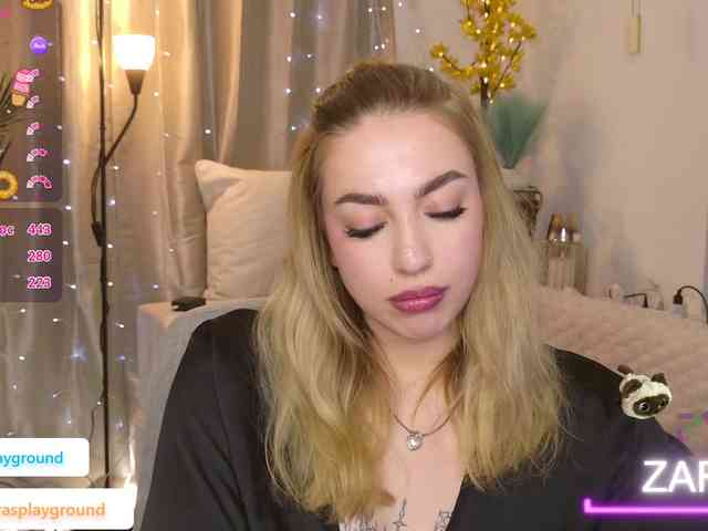 ZarasPlayground webcam