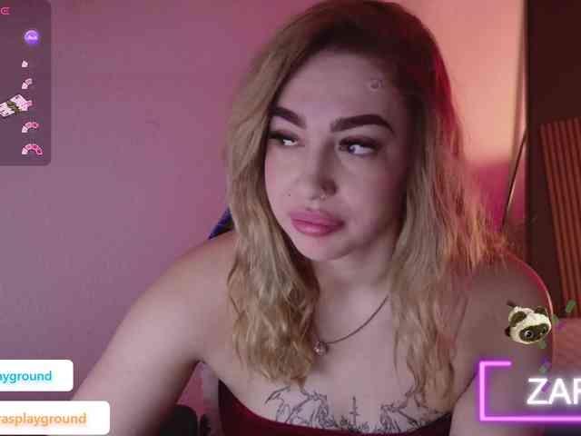 ZarasPlayground webcam