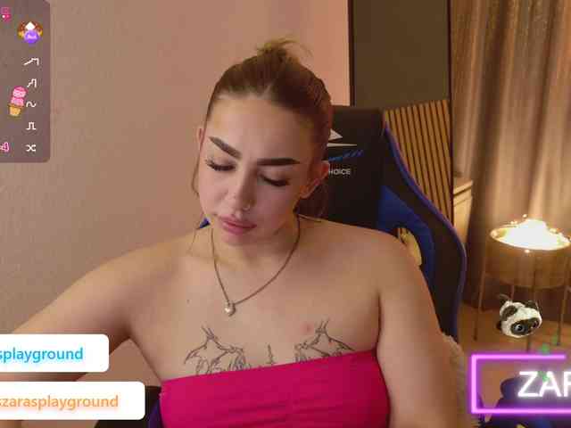 ZarasPlayground webcam