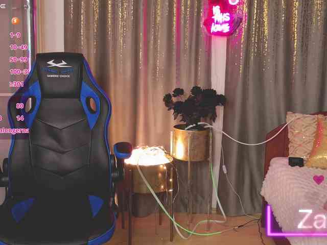 ZarasPlayground webcam