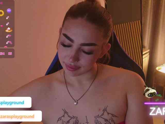 ZarasPlayground webcam