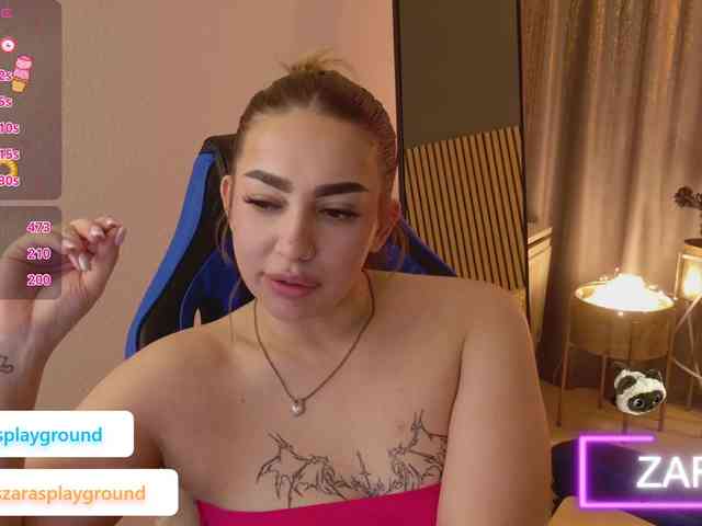 ZarasPlayground webcam