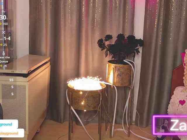 ZarasPlayground webcam