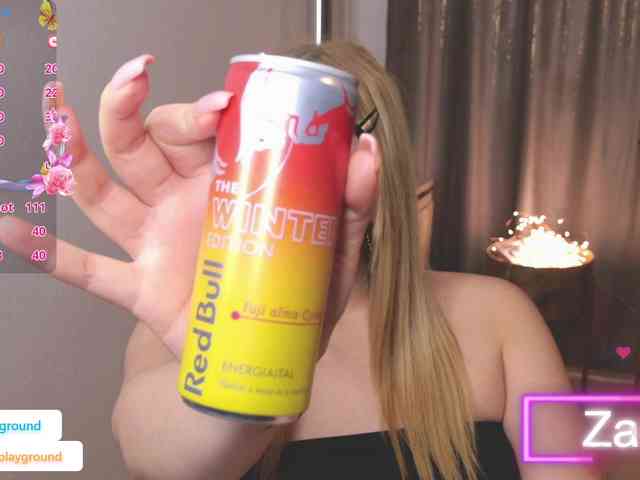 ZarasPlayground webcam