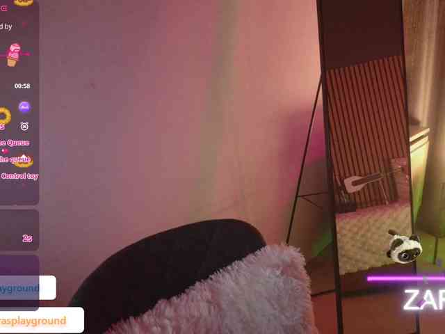 ZarasPlayground webcam