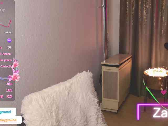 ZarasPlayground webcam