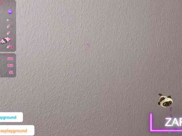 ZarasPlayground webcam