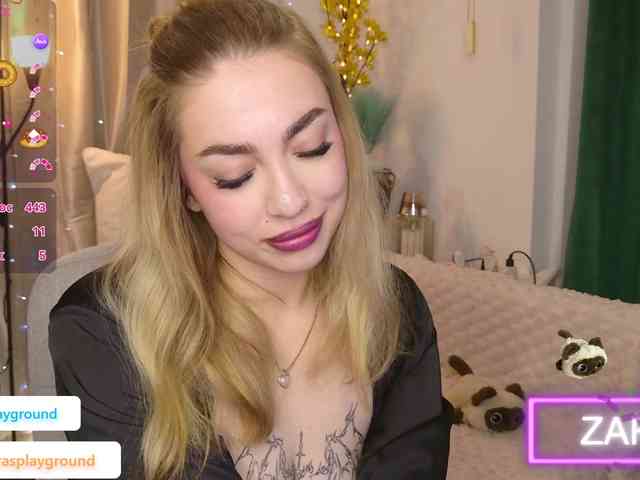 ZarasPlayground webcam