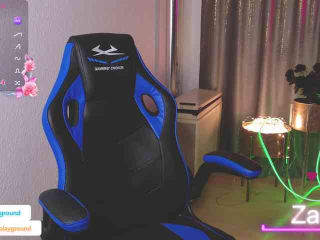 ZarasPlayground webcam