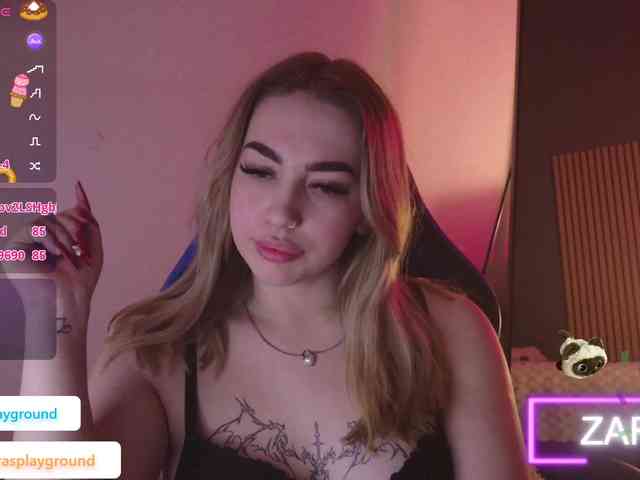 ZarasPlayground webcam