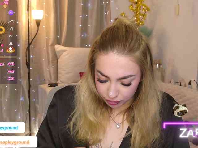 ZarasPlayground webcam