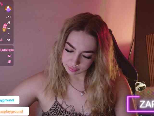 ZarasPlayground webcam