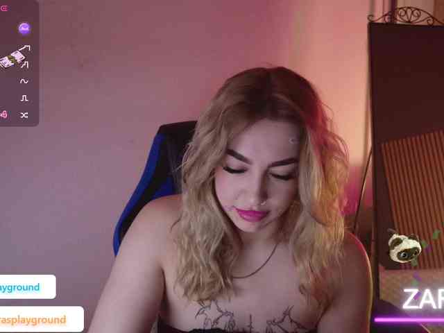 ZarasPlayground webcam