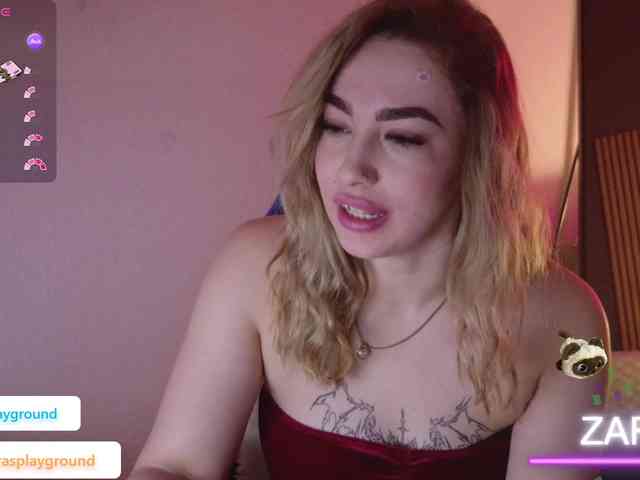 ZarasPlayground webcam