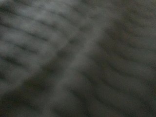 SEX-EDUCATION Porn Show