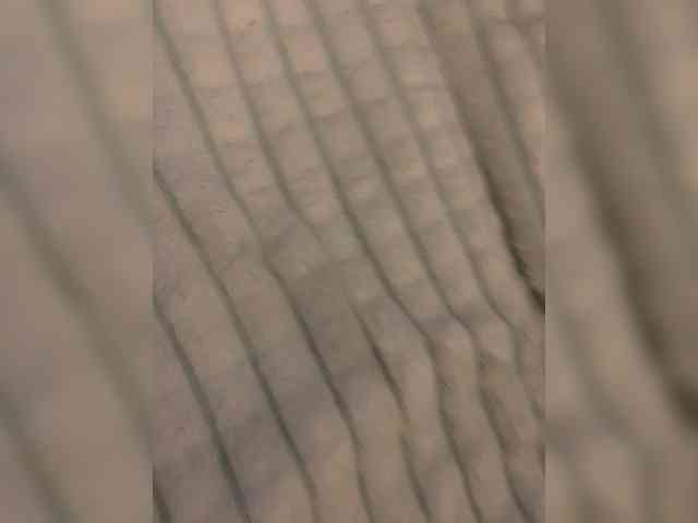 SEX-EDUCATION webcam