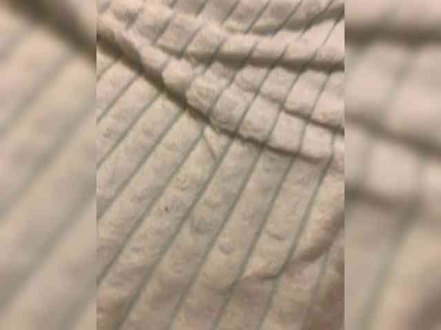 SEX-EDUCATION webcam