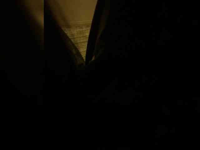 SEX-EDUCATION webcam