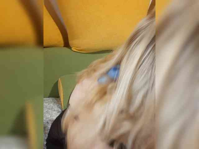 StefanyMellow3 webcam