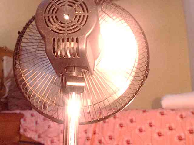 perverdirtytabb00 webcam