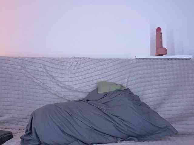 Merlin-2004 Merlin-2004