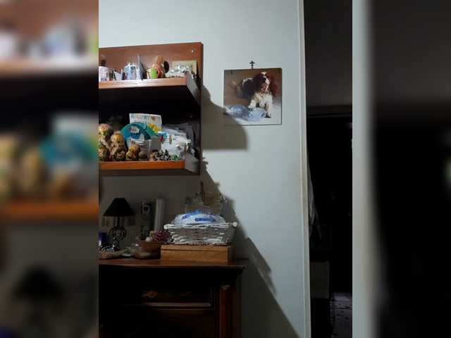 MARGHERITA-1978's BongaCams show and profile