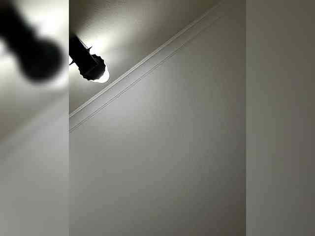 MARGHERITA-1978 MARGHERITA-1978