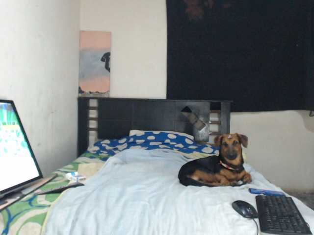 Bunnynasty888's BongaCams show and profile