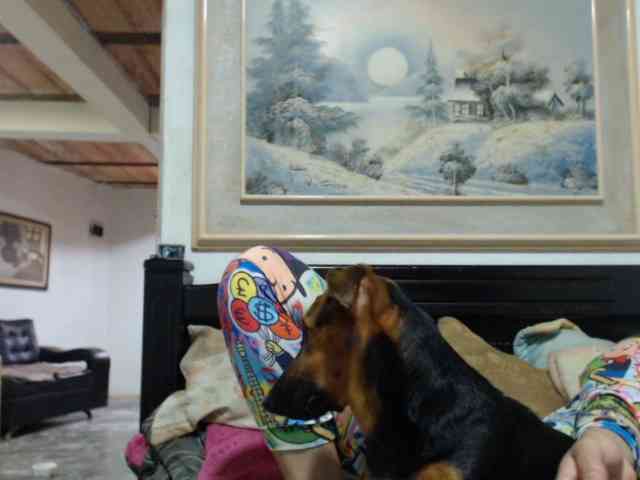 Bunnynasty888 webcam