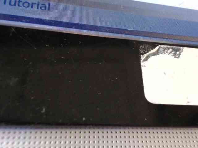 Bunnynasty888 webcam