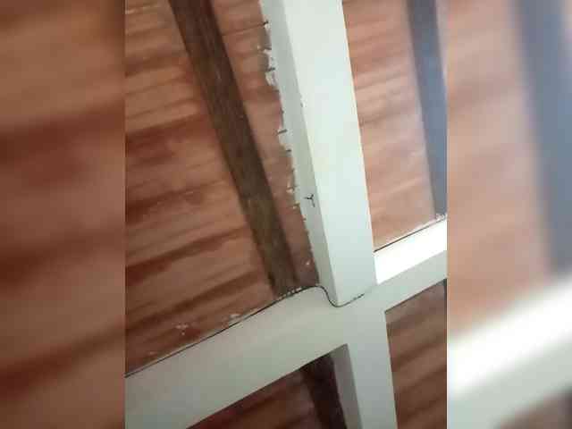 Bunnynasty888 webcam