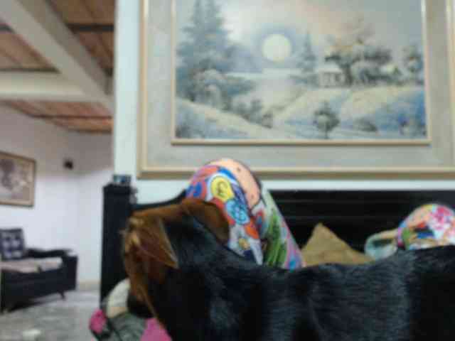 Bunnynasty888 webcam