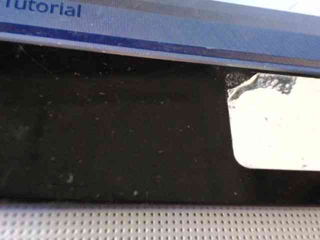 Bunnynasty888 webcam