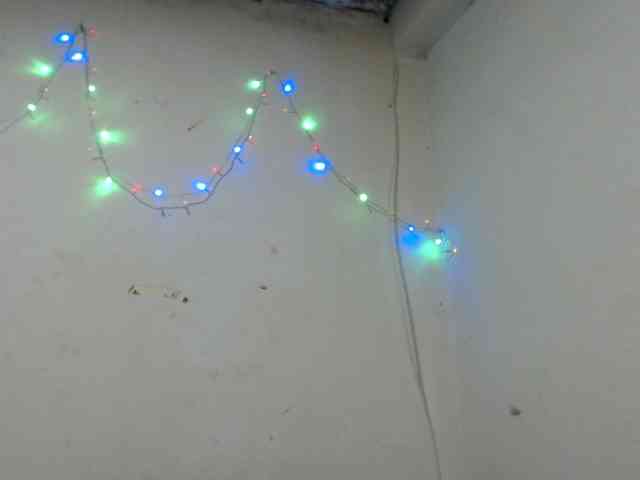 Bunnynasty888 Bunnynasty888