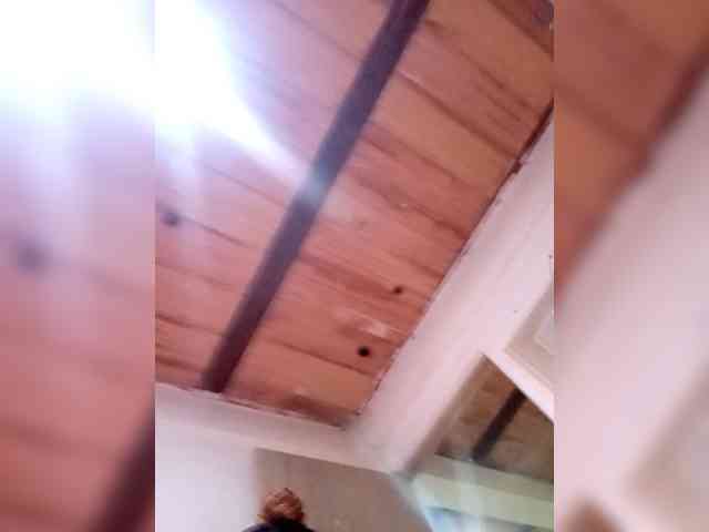 Bunnynasty888 Bunnynasty888